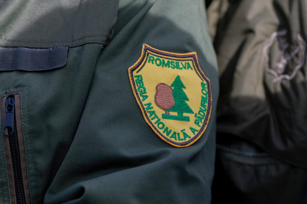 Guvernul a adoptat proiectul care vizează modificări în Codul Silvic pentru a prelua controlul asupra reorganizării Romsilva