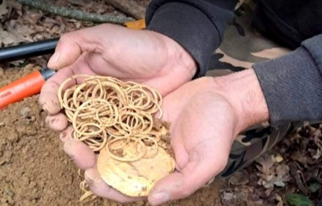 Un localnic a descoperit o comoară veche de peste 3.000 de ani în Cluj. Conține un artefact unic în România