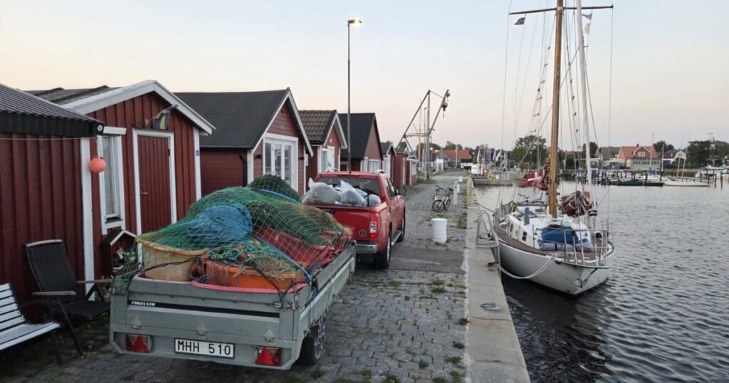 Cum salvează vieți plasele de pescuit din Suedia