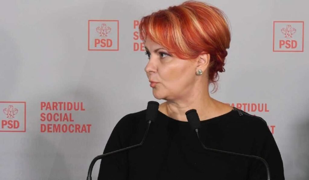 Lia Olguţa Vasilescu spune că OUG 52/2025 interzice inclusiv deszăpezirea