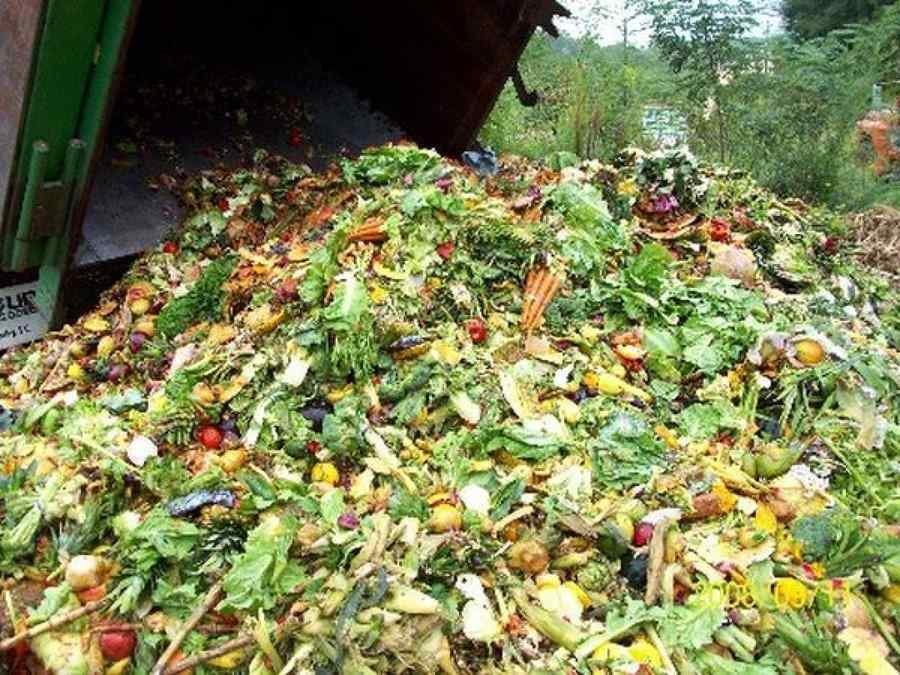 O treime din producția mondială de alimente ajunge la gunoi O treime din producția mondială de alimente ajunge la gunoi