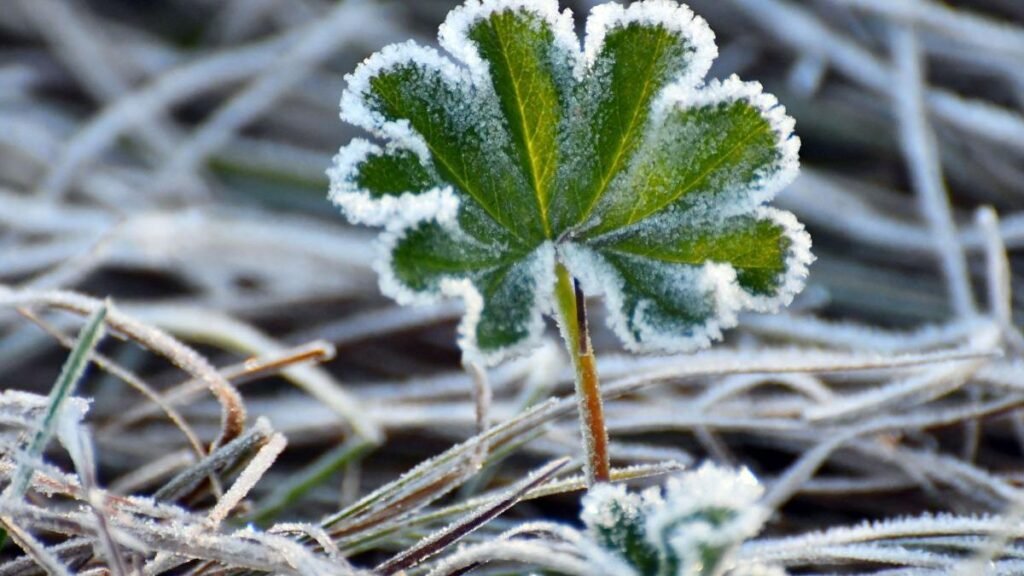 Octombrie capricios: Vreme rece până la sfârșitul lunii