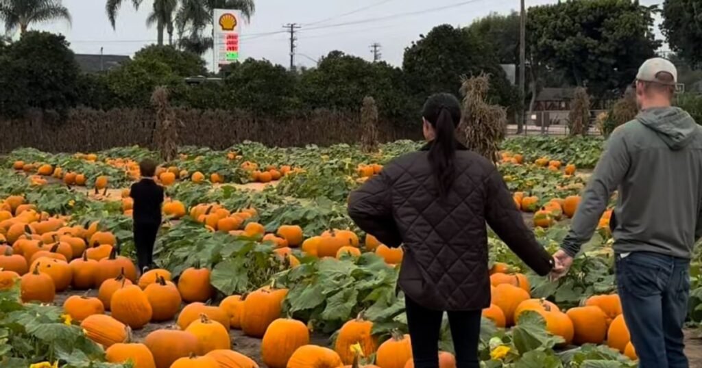 Prințul Harry și Meghan Markle și-au dus copiii la o fermă de dovleci: momente surprinse de ducesă